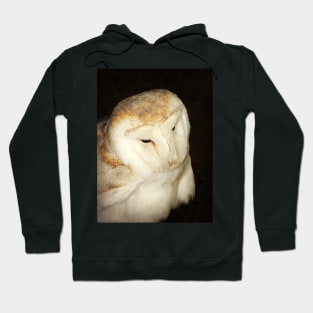 Time To Fly Out Into The Night Hoodie